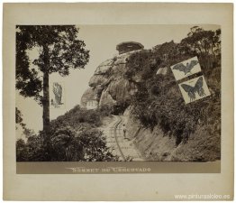 Cumbre del Corcovado