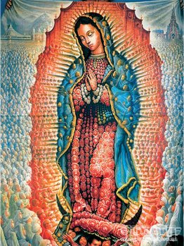 señora guadalupe