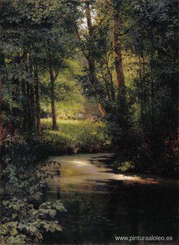 arroyo en el bosque