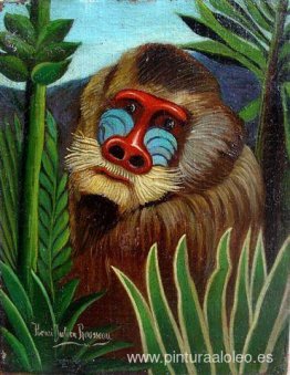 Mandril en la selva