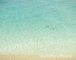 Buceador (después de Misrach), Maui, Hawaii