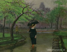 Lluvia de primavera, Nueva York