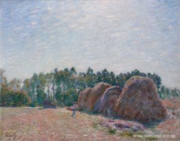 Pajares en Moret Morning Light