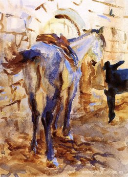 Caballo de silla, Palestina