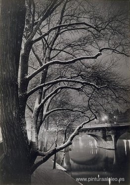 Los árboles de los muelles avec le Pont-Neuf