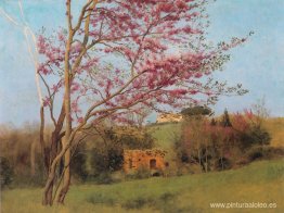 Paisaje: Almendro rojo en flor (estudio)