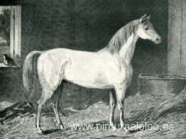 Caballo mensajero