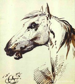 cabeza de caballo