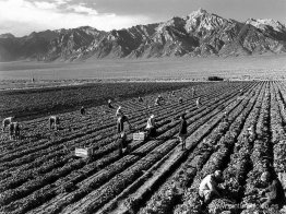 Granja, trabajadores agrícolas, Mt. Williamson al fondo, Centro