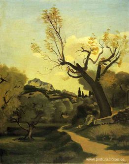 El camino y el árbol.