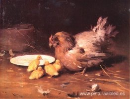 una gallina