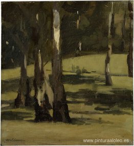 Sombras, paisaje con árboles.