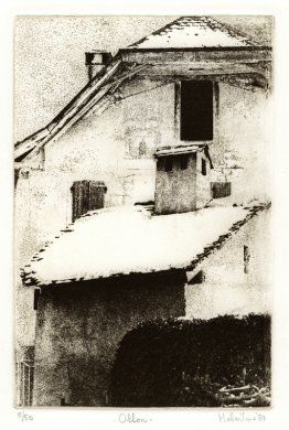 Los tejados de la aldea Ollon, cantón de Vaud, Suiza