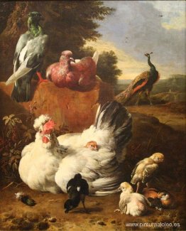 la gallina blanca