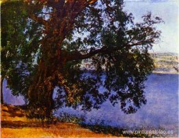 Un árbol sobre el agua en las proximidades de Castel Gandolfo