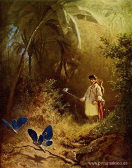 El cazador de mariposas