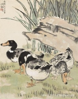 tres patos