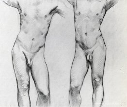 Torsos de dos desnudos masculinos