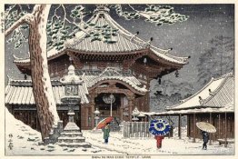 Nieve en el templo Nan-endo, Nara