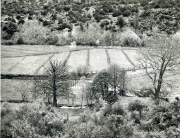 Paisaje de Arizona