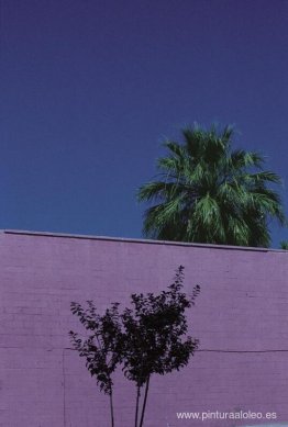 Paisaje urbano, Phoenix