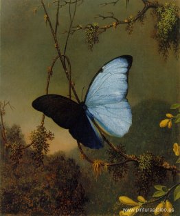 Mariposa Morfo Azul