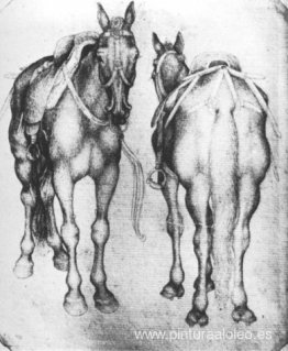 caballos