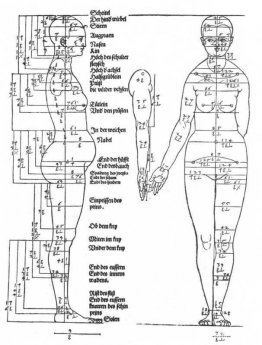 Estudios sobre las proporciones del cuerpo femenino