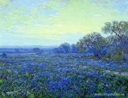 Campo de Bluebonnets bajo el cielo nublado