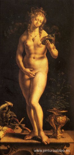 Venus y el espejo