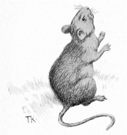 Ratón