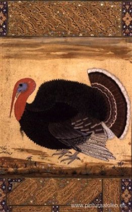 Un gallo de pavo traído a Jahangir desde Goa en 1612.