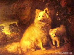 Perra y cachorro de Pomerania