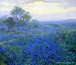 Un día nublado, Bluebonnets cerca de San Antonio, Texas