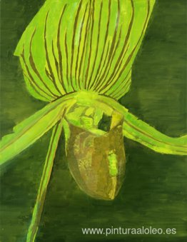 Orquídea