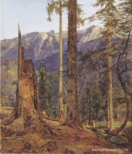 El Monte Höllengebirge en Ischl