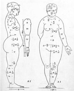 Vista lateral y frontal de la cabeza femenina.