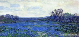 Campo de bluebonnets