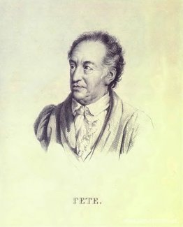 Retrato de Johann Wolfgang von Goethe