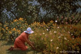 Recogiendo flores