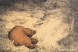 Bruin dormido en los arbustos de arándanos