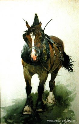 Caballo