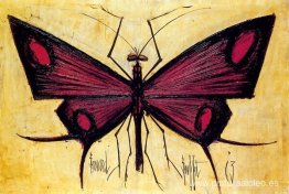 El Museo: El papillon rojo