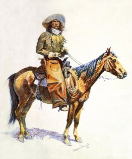 vaquero de arizona