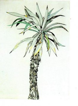 Palmera