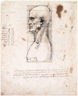 Busto de hombre de perfil con medidas y notas.