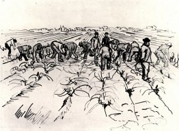 Agricultores trabajando en el campo.