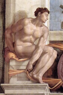 Desnudo