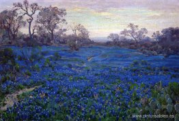 Bluebonnets en Crepúsculo, cerca de San Antonio