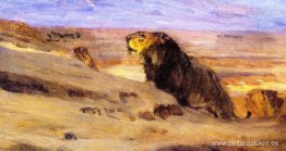 leones en el desierto